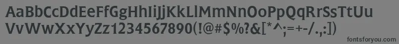 FrascatiRegular Font – Black Fonts on Gray Background