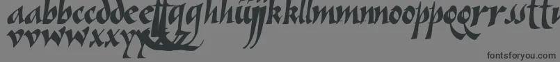 フォントVein ffy – 黒い文字の灰色の背景