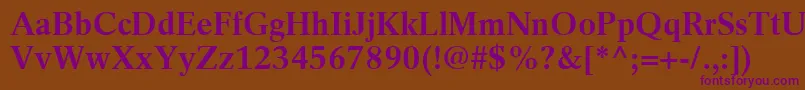 RotationLtBold Font – Purple Fonts on Brown Background