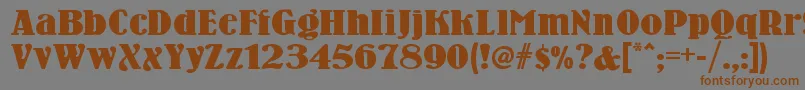 Woodennickelnf Font – Brown Fonts on Gray Background