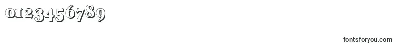 CasablancashadowHeavyRegular Font – Fonts for Numbers and Digits