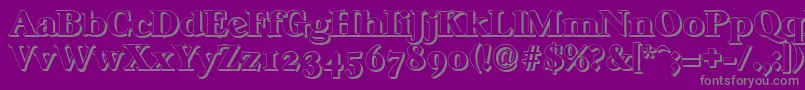 CasablancashadowHeavyRegular Font – Gray Fonts on Purple Background