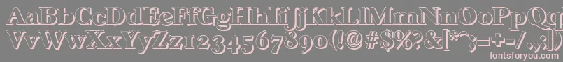 CasablancashadowHeavyRegular Font – Pink Fonts on Gray Background