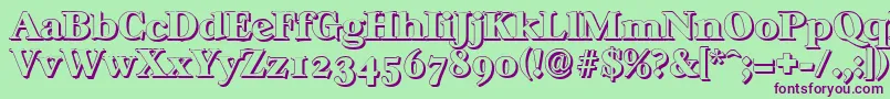 CasablancashadowHeavyRegular Font – Purple Fonts on Green Background