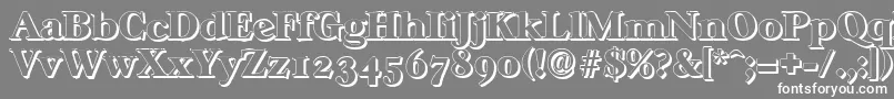 フォントCasablancashadowHeavyRegular – 灰色の背景に白い文字