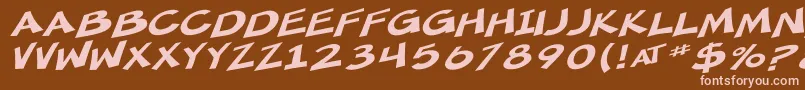 SfMincedMeatExtendedOblique Font – Pink Fonts on Brown Background