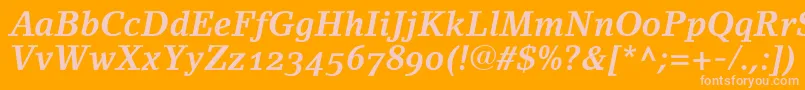 LinoletterBoldItalicOldstyleFigures Font – Pink Fonts on Orange Background