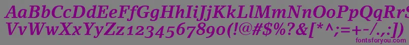 LinoletterBoldItalicOldstyleFigures Font – Purple Fonts on Gray Background