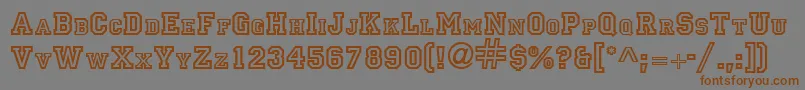 Police PrincipalRegular – polices brunes sur fond gris
