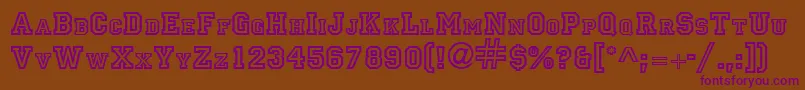 PrincipalRegular Font – Purple Fonts on Brown Background