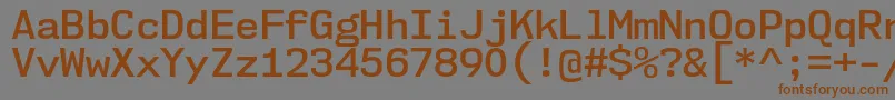 フォントNk57MonospaceNoSb – 茶色の文字が灰色の背景にあります。