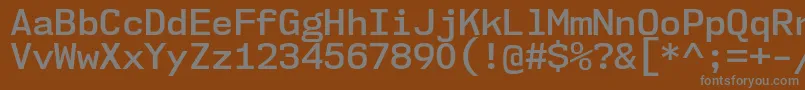 Шрифт Nk57MonospaceNoSb – серые шрифты на коричневом фоне