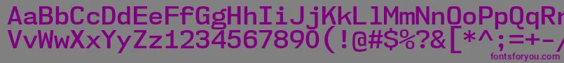 Czcionka Nk57MonospaceNoSb – fioletowe czcionki na szarym tle