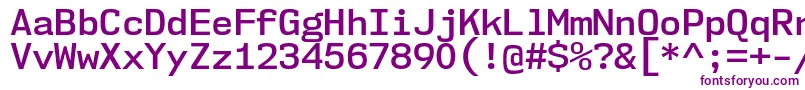 Nk57MonospaceNoSb Font – Purple Fonts on White Background