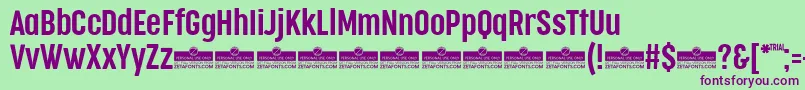 CocogooseCompressedSemilightTrial Font – Purple Fonts on Green Background