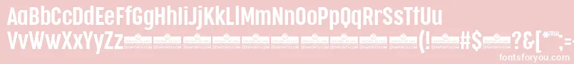 CocogooseCompressedSemilightTrial Font – White Fonts on Pink Background