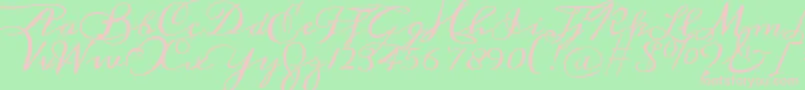 Meddon Font – Pink Fonts on Green Background