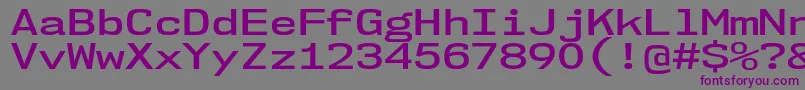 Nk57MonospaceExSb Font – Purple Fonts on Gray Background