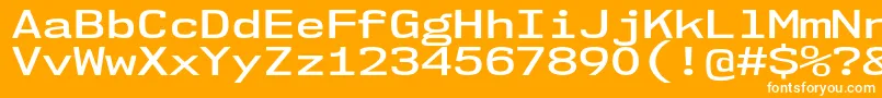 Nk57MonospaceExSb Font – White Fonts on Orange Background