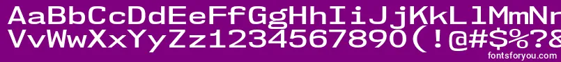 Nk57MonospaceExSb Font – White Fonts on Purple Background