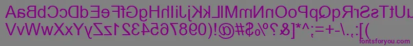 Шрифт Zone23Helveticaflip – фиолетовые шрифты на сером фоне
