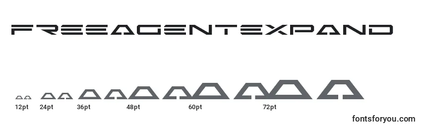 Размеры шрифта Freeagentexpand