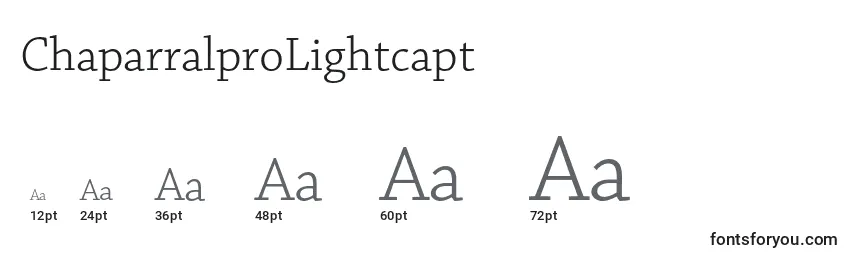 Größen der Schriftart ChaparralproLightcapt