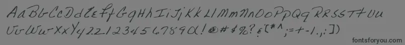 Lehn223 Font – Black Fonts on Gray Background
