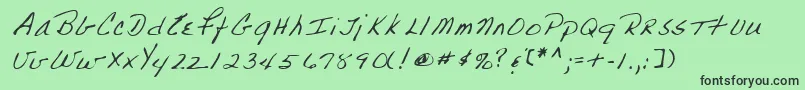 Lehn223 Font – Black Fonts on Green Background