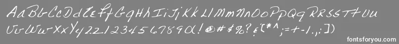 Lehn223 Font – White Fonts on Gray Background