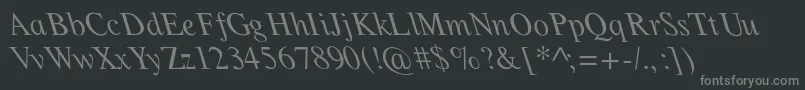 Filte Font – Gray Fonts on Black Background