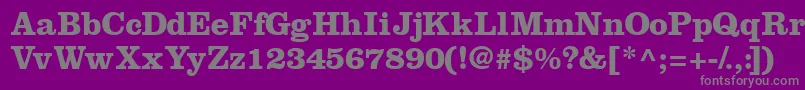 IntroitsskBold Font – Gray Fonts on Purple Background