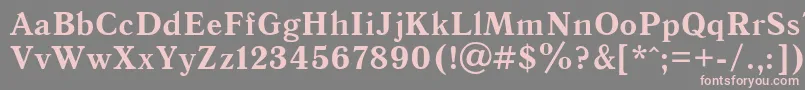 フォントAntiquaBoldRegular – 灰色の背景にピンクのフォント