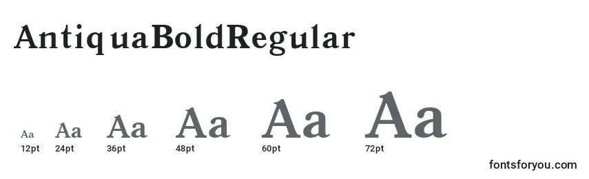 Größen der Schriftart AntiquaBoldRegular
