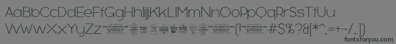 BubbleboddyExtralighttrial Font – Black Fonts on Gray Background