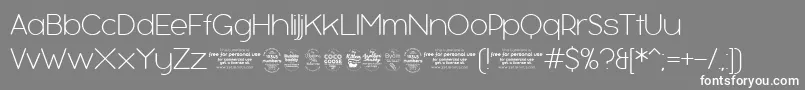 BubbleboddyExtralighttrial Font – White Fonts on Gray Background