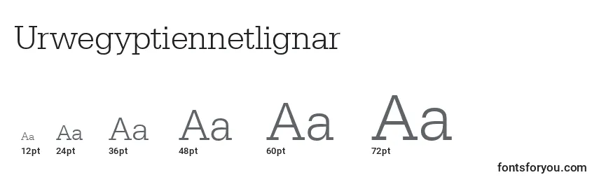 Размеры шрифта Urwegyptiennetlignar