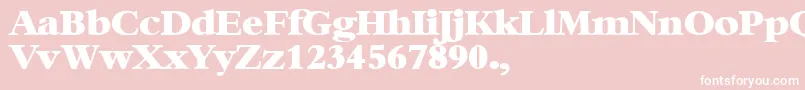 BambiBold Font – White Fonts on Pink Background