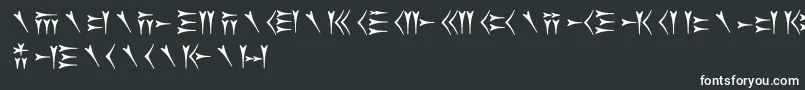 フォントOldpersiancuneiform – 白い文字