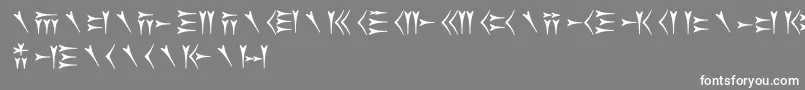 フォントOldpersiancuneiform – 灰色の背景に白い文字