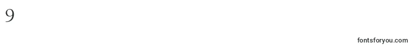 FiguralSmallCapsLetPlain.1.0 Font – Fonts for Digit 9