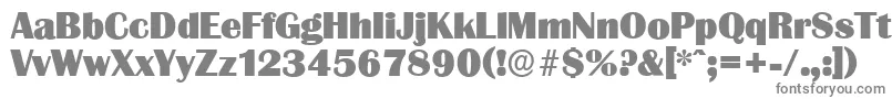 GrenobleserialHeavyRegular Font – Gray Fonts on White Background