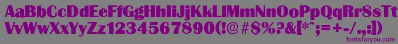 GrenobleserialHeavyRegular Font – Purple Fonts on Gray Background