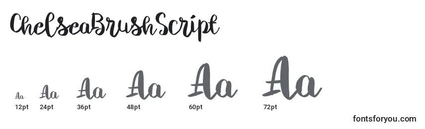 ChelseaBrushScript Font Sizes