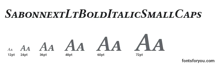 Размеры шрифта SabonnextLtBoldItalicSmallCaps