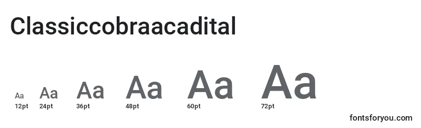 Размеры шрифта Classiccobraacadital