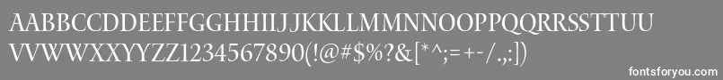 WaterstitlingproScn Font – White Fonts on Gray Background
