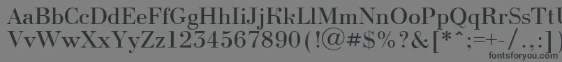 フォントABodoninova – 黒い文字の灰色の背景