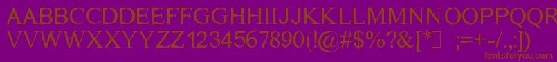 DichotomyRegular Font – Brown Fonts on Purple Background