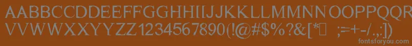DichotomyRegular Font – Gray Fonts on Brown Background